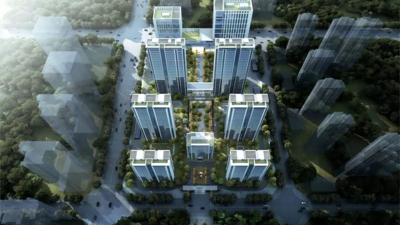 企业批发业务如何借助项目管理软件提升效率？**